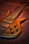 HDR_Bass_4.jpg.webp