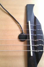 IMAG0159.webp