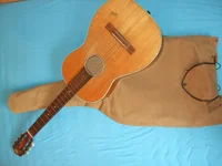 Wandergitarre (1).webp