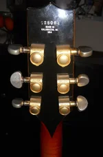 DSCN2153.webp