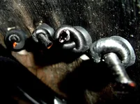 DSCF0659.webp