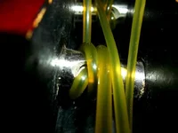 Weed8.webp