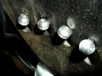 1-DSCF0750.webp
