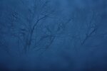 IMG_5880.jpg