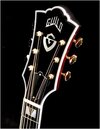 Guild_D55_Headstock_product_large.jpg