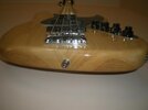bass 006.jpg