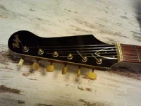 hoefner-v3-headstock.webp hoefner-v3-headstock.webp