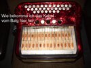 Hohner3.jpg