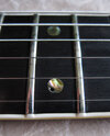 IbanezAR2618_1976_DotInlay-kaputt.jpg IbanezAR2618_1976_DotInlay-kaputt.jpg