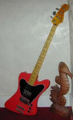 fenderbird_rsg-1.webp