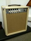 rodenberg_custom_reverb_1.jpg