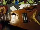 RIMG1242.jpg