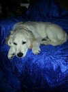 20130412_051242.jpg