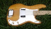 squier2013-04b.jpg