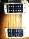 gibson-les-paul-foto-bild-60908318.jpg