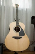 DSC09298.webp