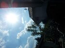 20130607_171704.jpg