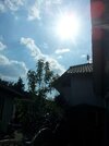 PicsArt_1370618425448.jpg