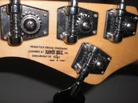 4.webp