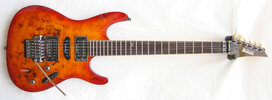 s2075fw-honeysunburst.jpg