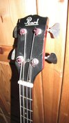 Pearl_Gibson_Bass_Kopf_IMG_8214.jpg