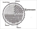 quartersawn01.jpg