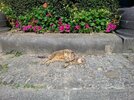 20130712_111223.jpg