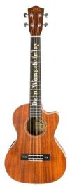 pre_Lanikai_Wunschukulele_Jurypreis.jpg pre_Lanikai_Wunschukulele_Jurypreis.jpg