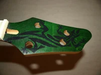 15-HalsplatteSalamander.webp 15-HalsplatteSalamander.webp