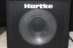 Hartke_A100_11_1318.jpg