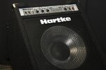 Hartke_A100_23_1349.jpg