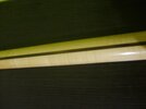 S6007480.JPG