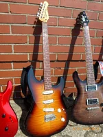 Godin FR (5).webp