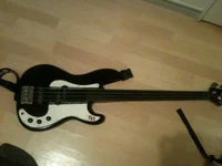 bass1.webp