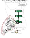 H-H-H Strat Wiring with Blender & Push Pull Option.jpg