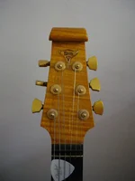 IMGP0029.webp