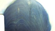 100_7836.jpg 100_7836.jpg