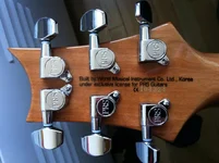SE Semi Hollow Soapbar.webp