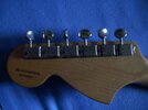 Fender Tom delonge mech.JPG Fender Tom delonge mech.JPG