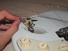 IMG_5332.jpg
