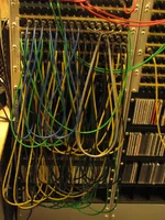 Patchfeld.webp