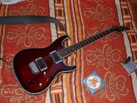 IMAG0004.webp