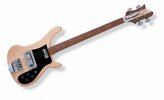 rickenbacker_c64.jpg