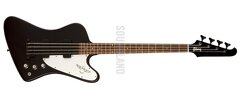 Gibson Thunderbird shortscale.jpg
