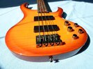 bass_10.jpg