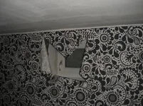 CIMG5740.webp