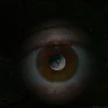 Stigmatized Auge.webp