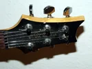 HeadStock.webp