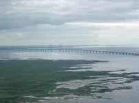 26425985.webp 26425985.webp