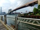 new york2.jpg
